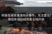 明星在深夜遭遇热点事件，无法置信！蘑菇影视在线观看全网炸锅