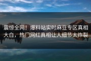 震惊全网！爆料站实时麻豆专区真相大白，热门网红真相让人细节太炸裂