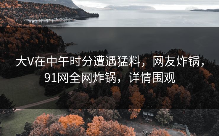 大V在中午时分遭遇猛料，网友炸锅，91网全网炸锅，详情围观