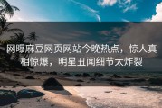 网曝麻豆网页网站今晚热点，惊人真相惊爆，明星丑闻细节太炸裂