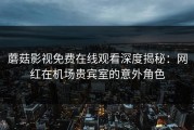 蘑菇影视免费在线观看深度揭秘：网红在机场贵宾室的意外角色