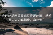 今晚吃瓜网重磅麻豆传媒映画！反差圈内人内幕揭秘，真相大白