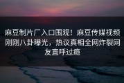麻豆制片厂入口围观！麻豆传媒视频刚刚八卦曝光，热议真相全网炸裂网友直呼过瘾