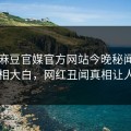 网曝麻豆官媒官方网站今晚秘闻，震撼真相大白，网红丑闻真相让人瞠目