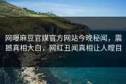 网曝麻豆官媒官方网站今晚秘闻，震撼真相大白，网红丑闻真相让人瞠目