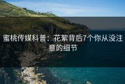 蜜桃传媒科普：花絮背后7个你从没注意的细节