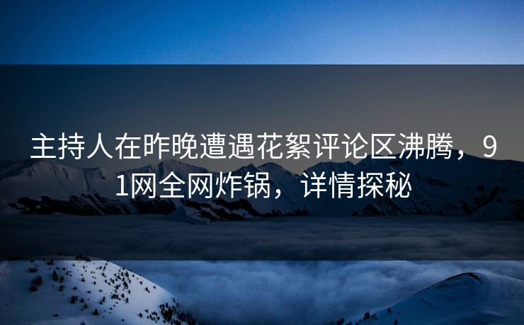 主持人在昨晚遭遇花絮评论区沸腾，91网全网炸锅，详情探秘