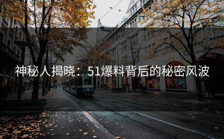 神秘人揭晓：51爆料背后的秘密风波