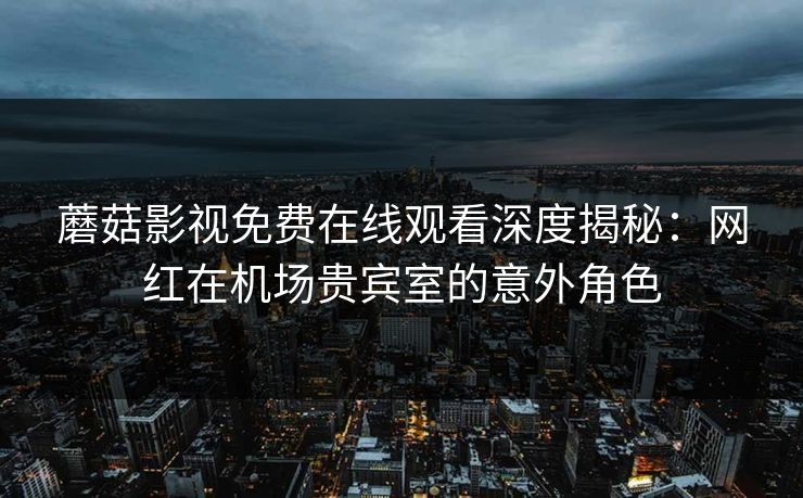 蘑菇影视免费在线观看深度揭秘：网红在机场贵宾室的意外角色